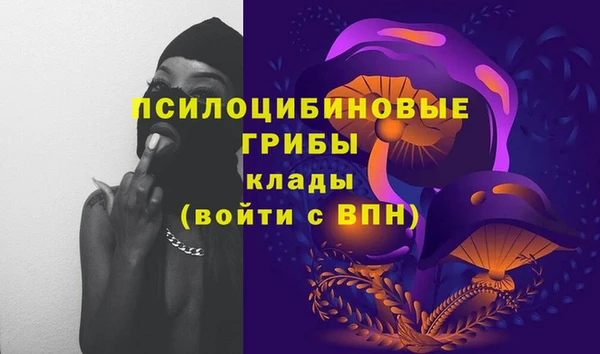 2c-b Ельня