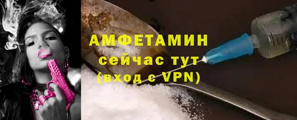2c-b Ельня