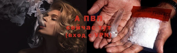 2c-b Ельня