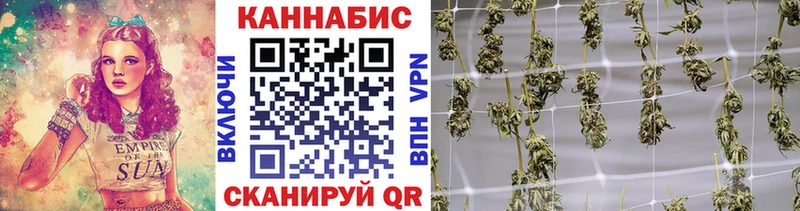 Марихуана Amnesia  Купить закладки  Сосновоборск 